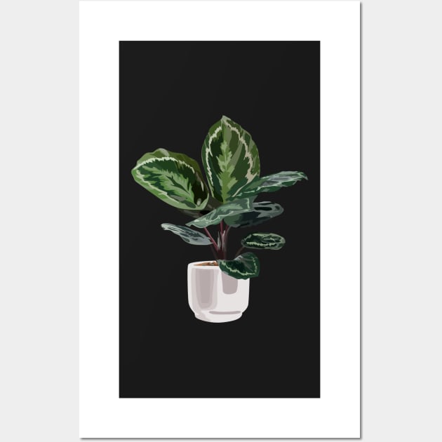 Calathea medallion plant Wall Art by gronly